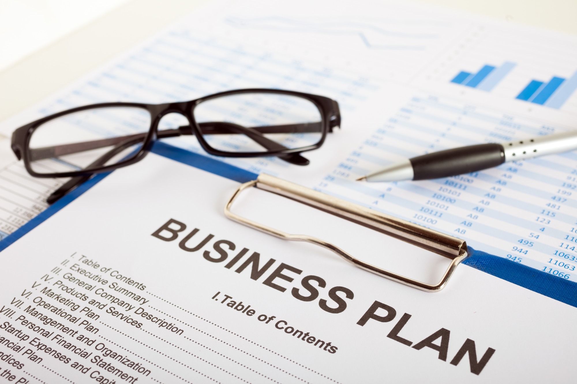 local enterprise office business plan